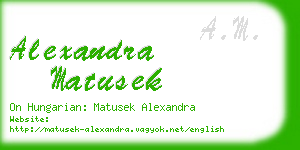 alexandra matusek business card